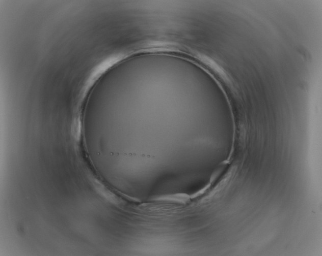 X0000114101413200910191633