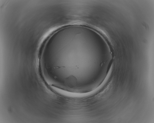 X0000114101414200910191633