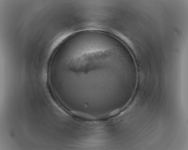 X0000114101415200910191633