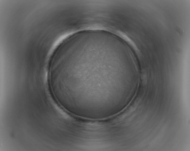 X0000114101416200910191633