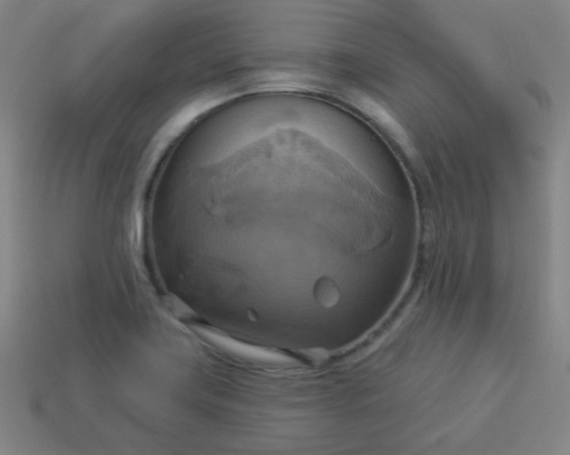 X0000114101419200910191633