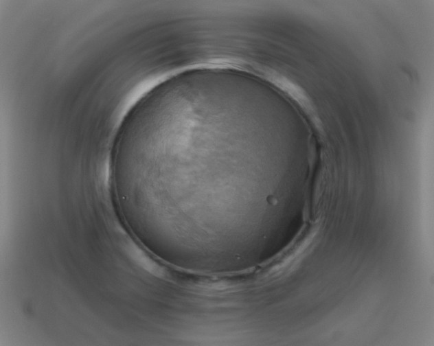 X0000114101420200910191633