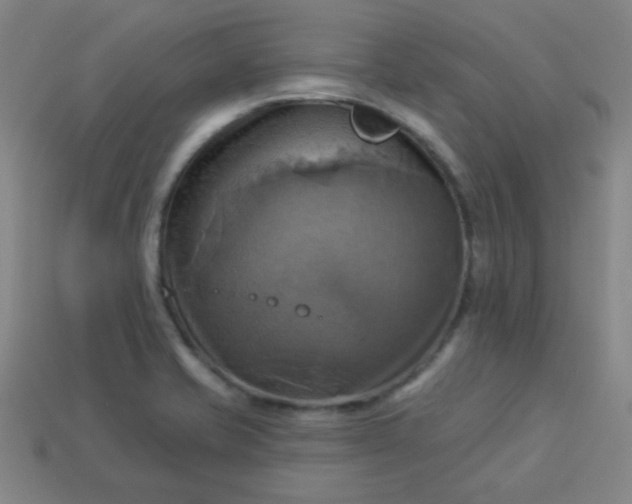 X0000114101421200910191633