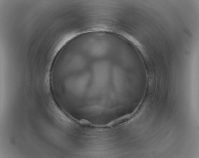 X0000114101423200910191633