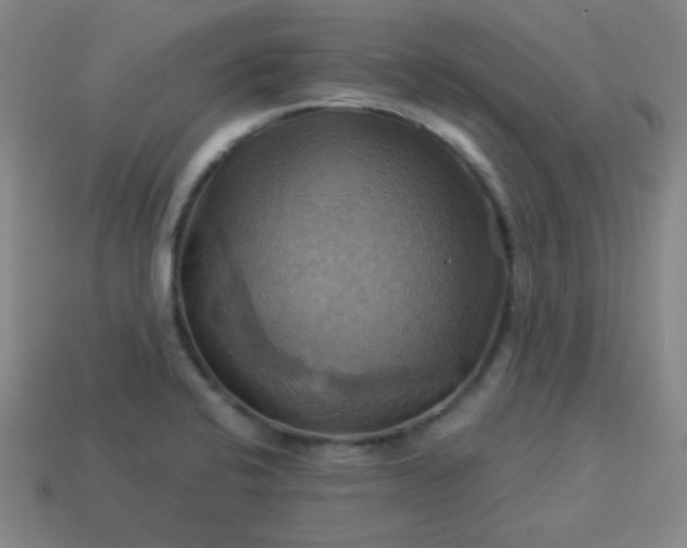 X0000114101424200910191633