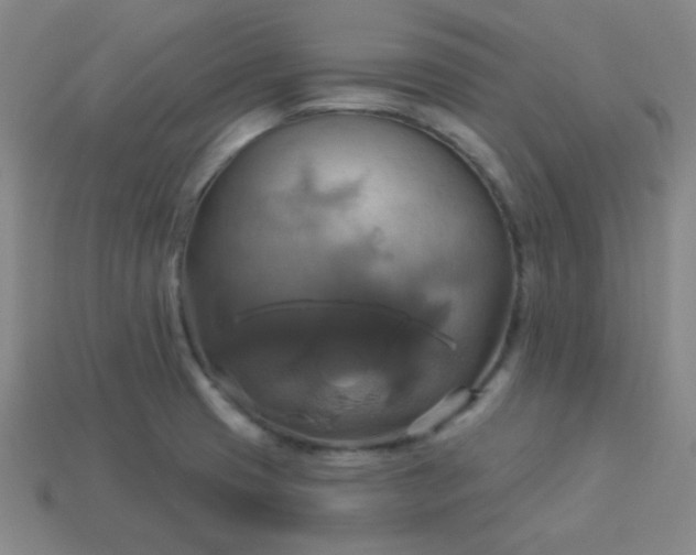 X0000114101425200910191633