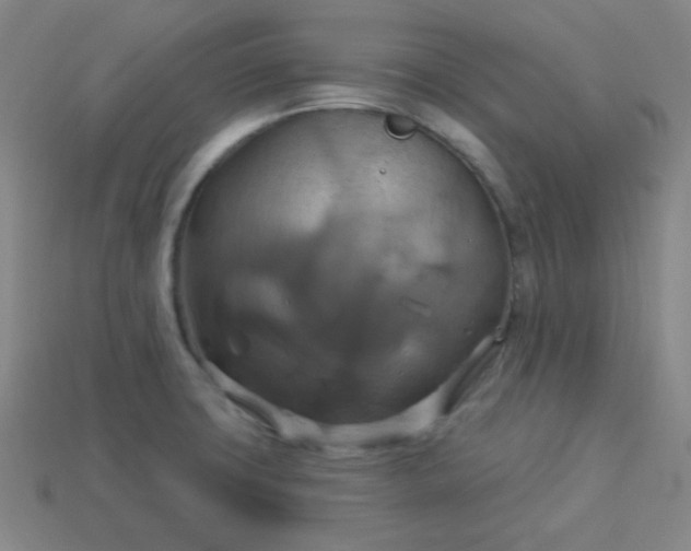 X0000114101427200910191633