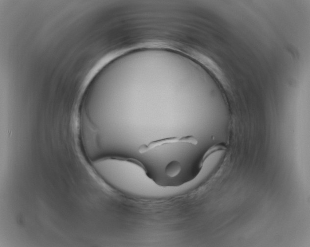 X0000114101428200910191633