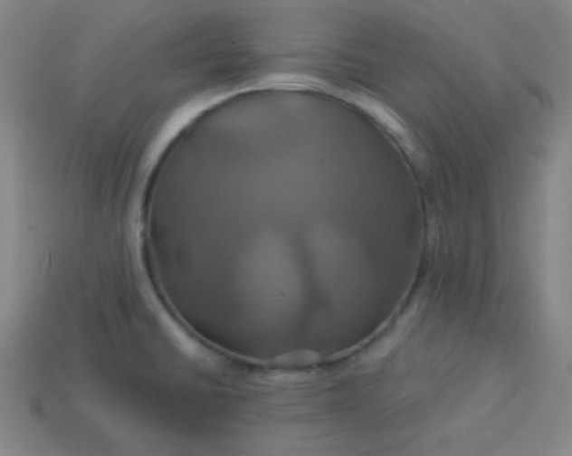 X0000114101430200910191633