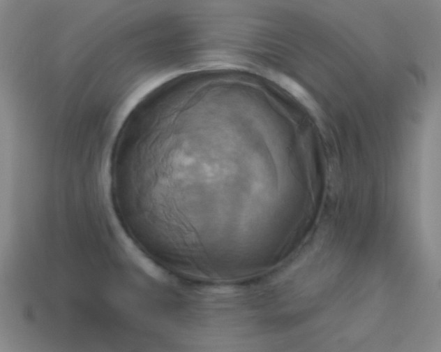 X0000114101431200910191633