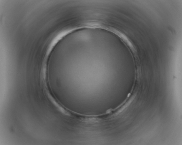 X0000114101432200910191633