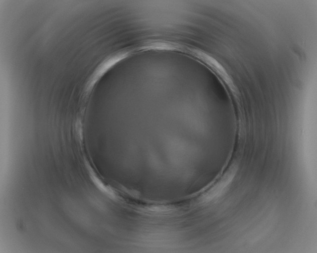 X0000114101433200910191633