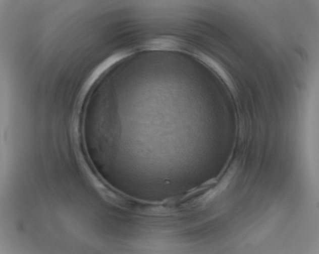 X0000114101434200910191633