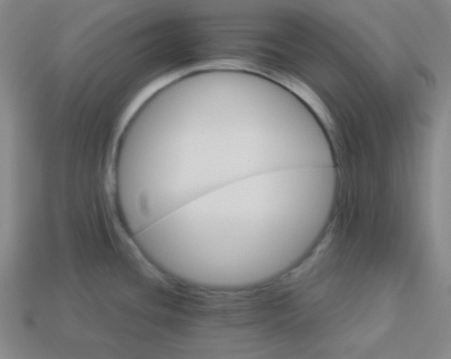 X0000114101436200910191633