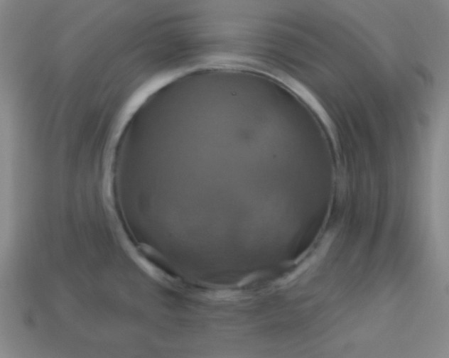 X0000114101437200910191633