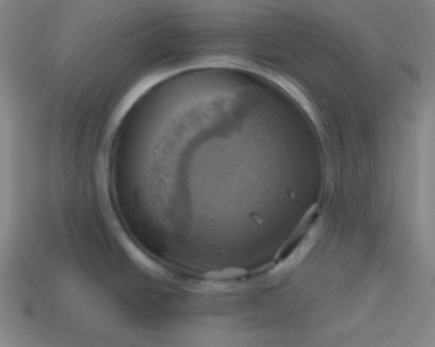 X0000114101438200910191633