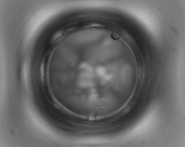 X0000114101439200910191633