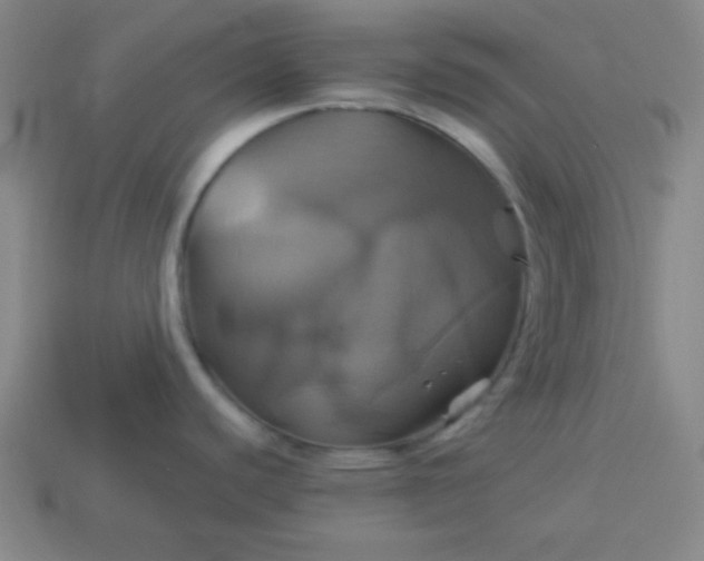 X0000114101440200910191633