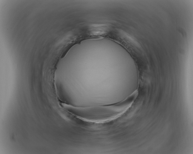 X0000114101441200910191632