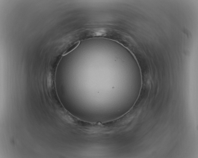 X0000114101442200910191632