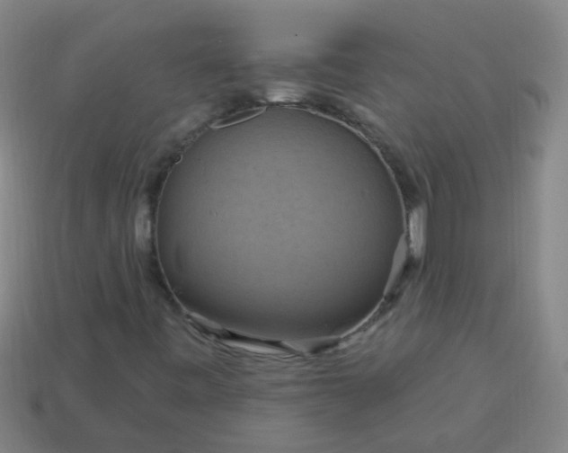 X0000114101443200910191632