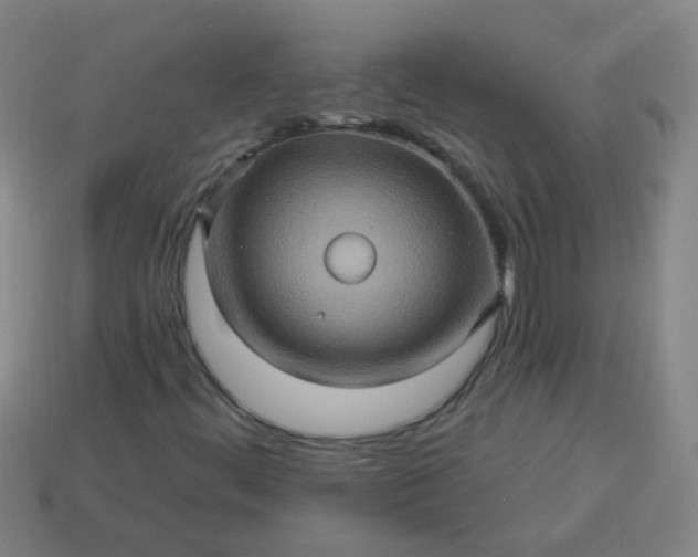 X0000114101444200910191632