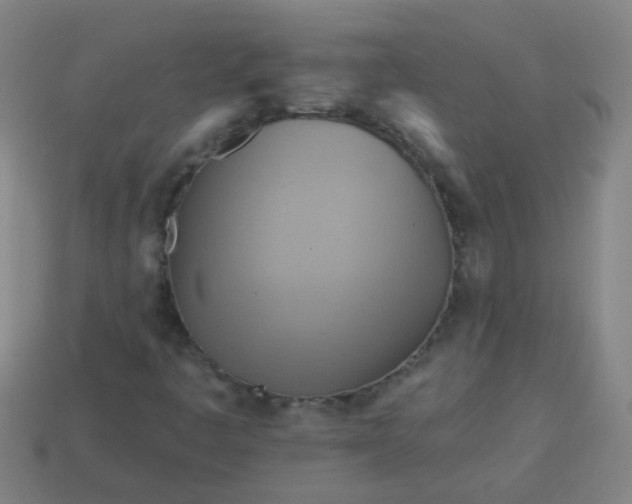 X0000114101445200910191632