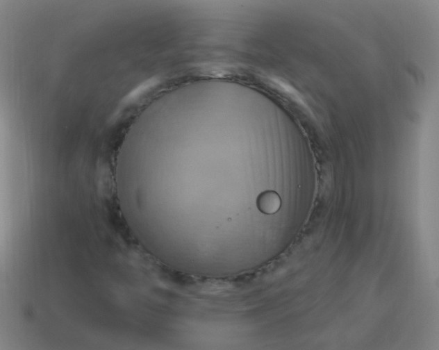 X0000114101446200910191632