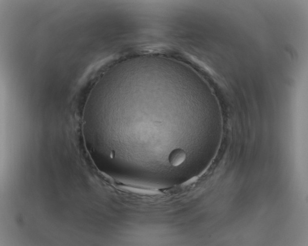 X0000114101447200910191632