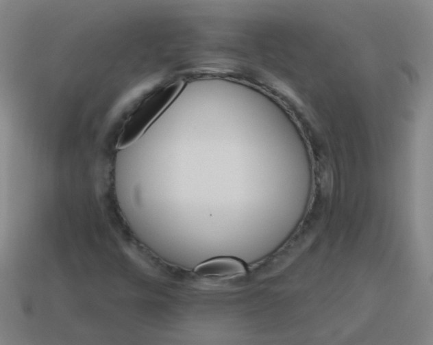 X0000114101448200910191632