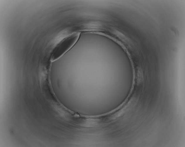 X0000114101449200910191632