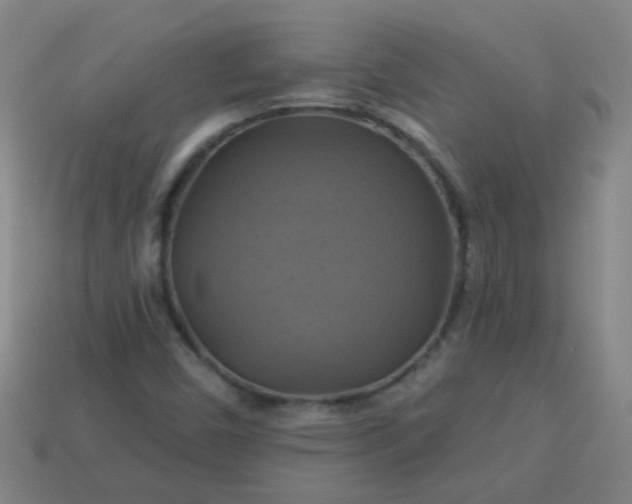 X0000114101450200910191632