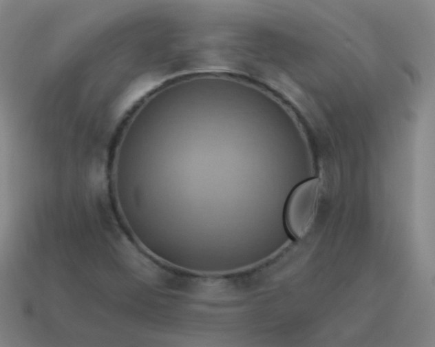 X0000114101452200910191632