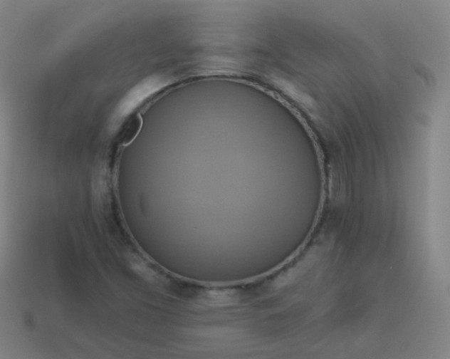 X0000114101453200910191632