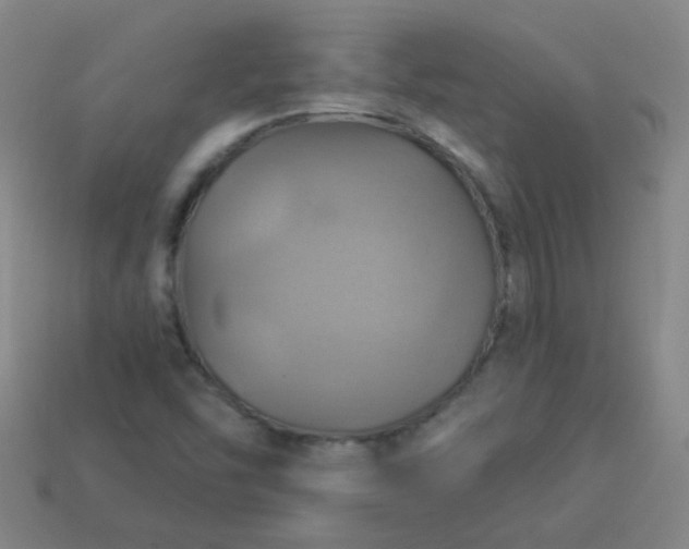 X0000114101454200910191632