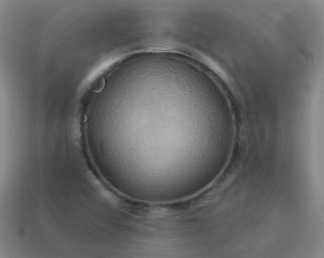 X0000114101456200910191632