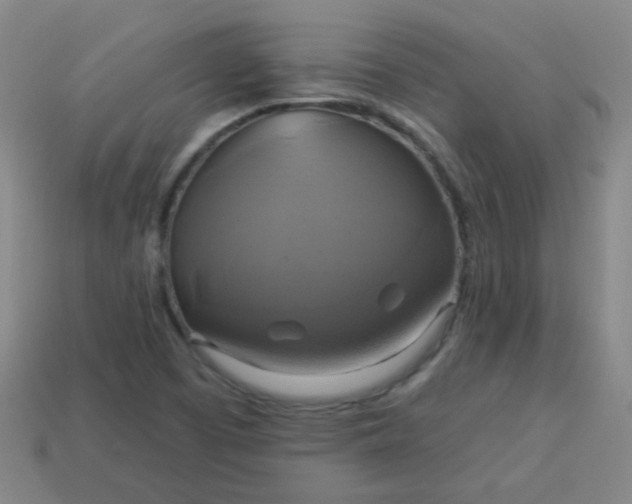 X0000114101457200910191632