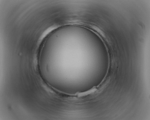 X0000114101458200910191632