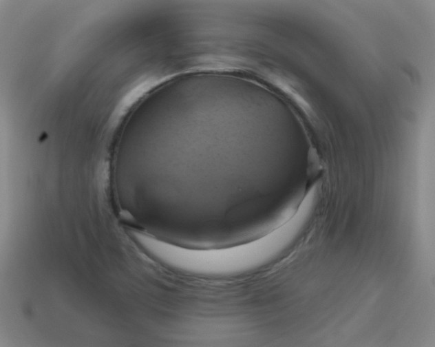 X0000114101459200910191632