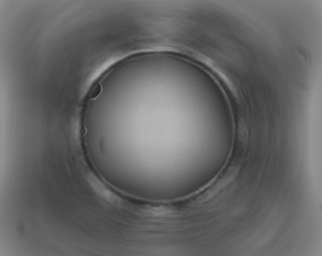 X0000114101460200910191632