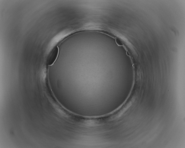 X0000114101461200910191632