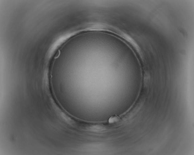 X0000114101464200910191632