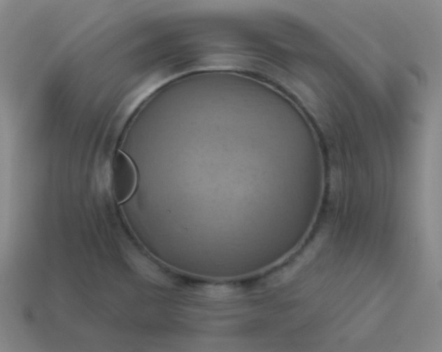 X0000114101465200910191632