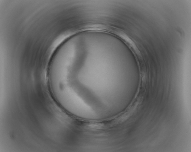 X0000114101466200910191632