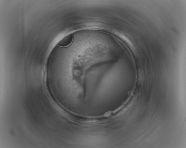 X0000114101467200910191632