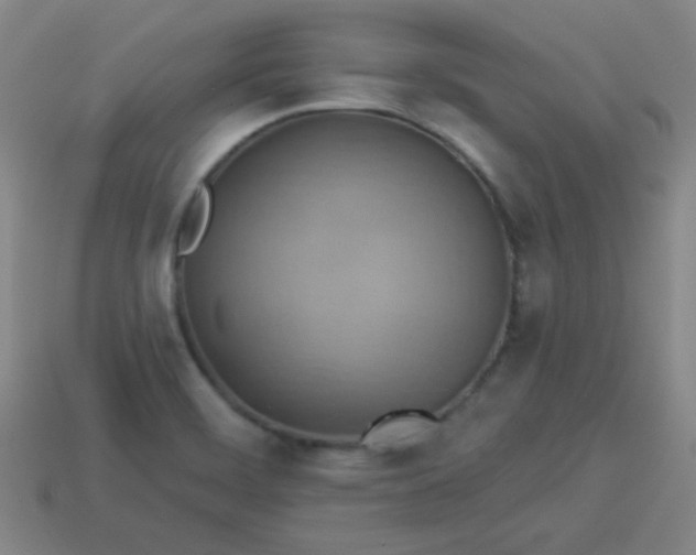 X0000114101468200910191632