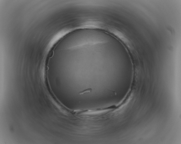 X0000114101469200910191632