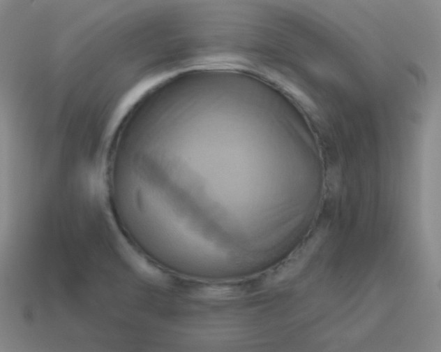 X0000114101470200910191632