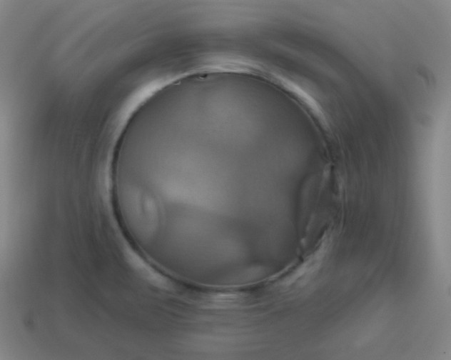 X0000114101471200910191632