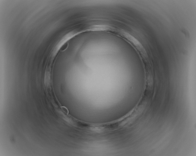 X0000114101473200910191632